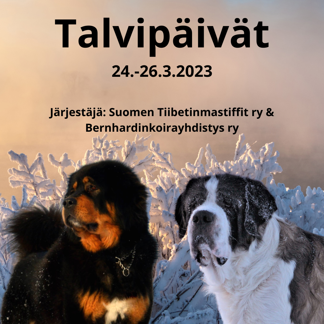 talvip-iv-t-24-26-3-2023-suomen-tiibetinmastiffit-ry